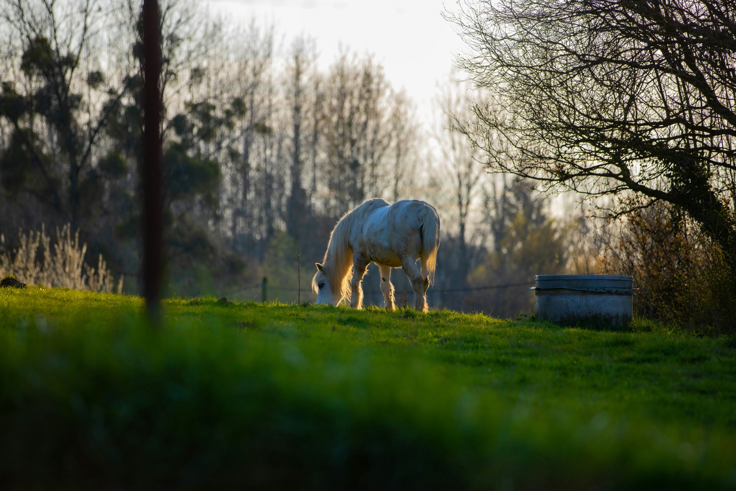 wouter-supardi-salari-5xCCFJ0UL2Y-unsplash